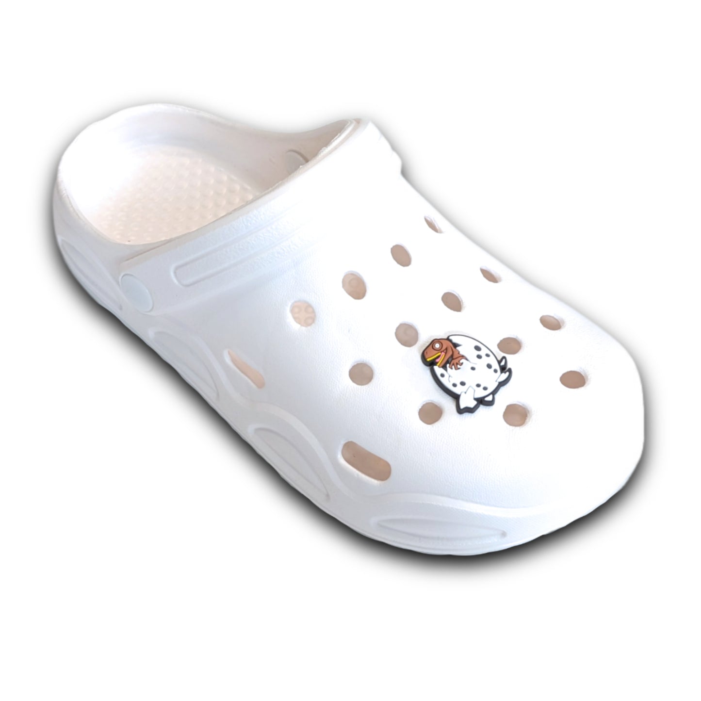 NEWBORN DINOSAUR - Single Shoe Charm From The Colorful Dinosaur Collection